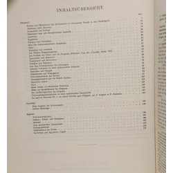 Kolotes und Menédemos - Studien zur palaeographie und payruskunde