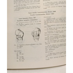 Gastéropodes du Lias inférieur et moyen du domaine atlasique...