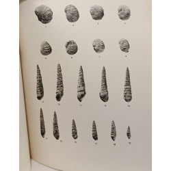 Études sur le Jurassique du Moyen Atlas (Maroc) - Les mollusques...