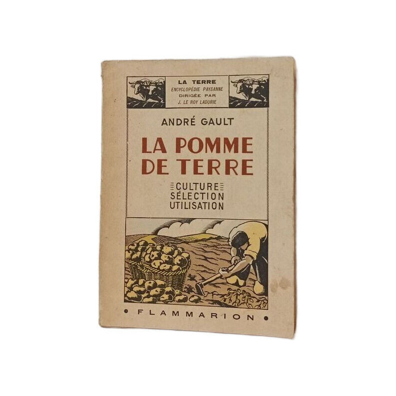 La pomme de terre