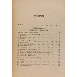 La pomme de terre