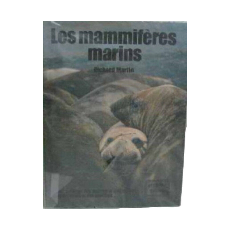 Les Mammifères marins