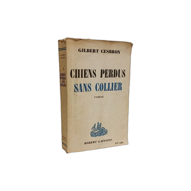 Chiens perdus sans collier