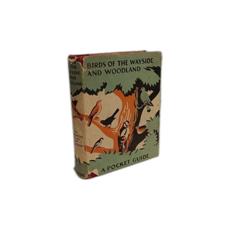 Birds of the Wayside and Woodland