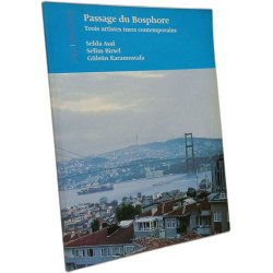 Passage du Bosphore - trois artistes turcs contemporains