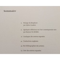Passage du Bosphore - trois artistes turcs contemporains