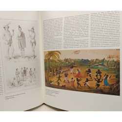 Flandre et Amérique latine: 500 ans de confrontation et métissage