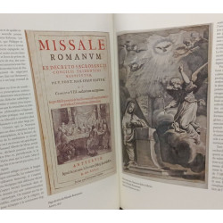 Flandre et Amérique latine: 500 ans de confrontation et métissage