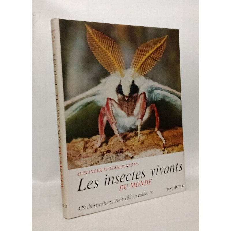 Les insectes vivants du monde