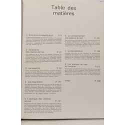 Oiseaux des océans