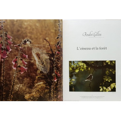 La forêt des Ardennes - Coffret comprenant 4 livres reliés :...