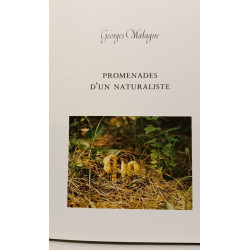 La forêt des Ardennes - Coffret comprenant 4 livres reliés :...
