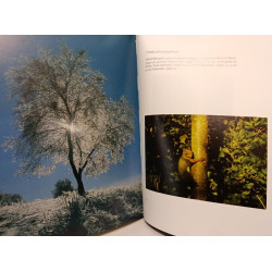 La forêt des Ardennes - Coffret comprenant 4 livres reliés :...