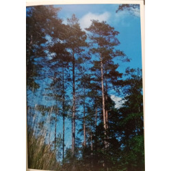 La forêt des Ardennes - Coffret comprenant 4 livres reliés :...