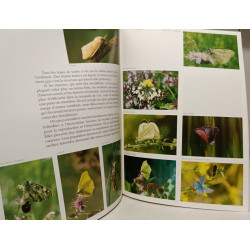 La forêt des Ardennes - Coffret comprenant 4 livres reliés :...