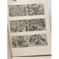 Schistes cristallins et granites en Bretagne méridionale. Le...