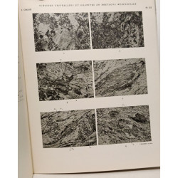 Schistes cristallins et granites en Bretagne méridionale. Le...
