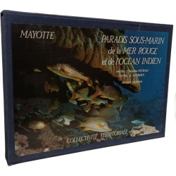 Mayotte Paradis sous-marin de la mer Rouge et de l'Océan Indien