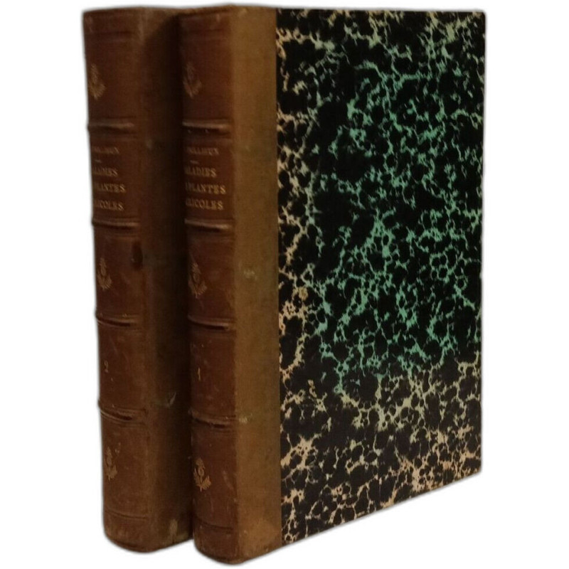 Maladies des plantes agricoles et des arbres fruitiers et...
