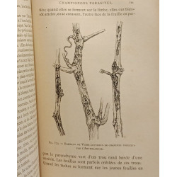 Maladies des plantes agricoles et des arbres fruitiers et...
