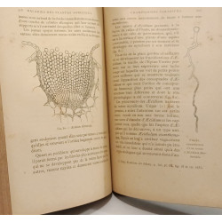 Maladies des plantes agricoles et des arbres fruitiers et...