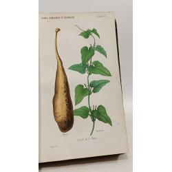 Les plantes fourragères - 3e éd