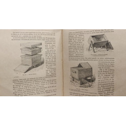 Apiculture moderne - 6e éd. 1903