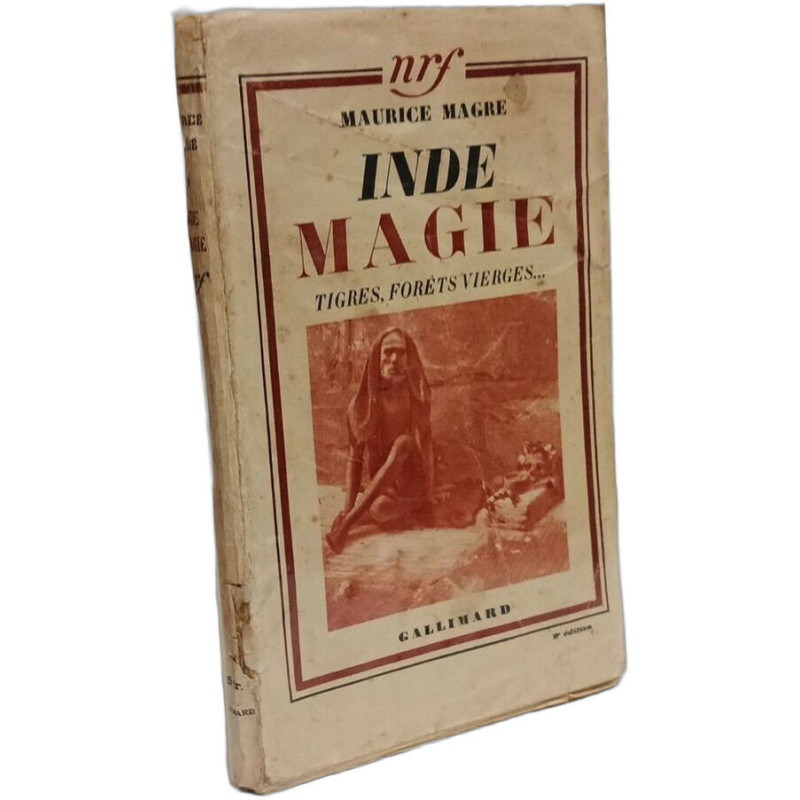 Inde magie - tigres forêts vierges