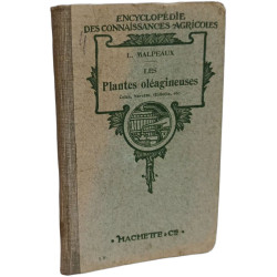 Les Plantes oléagineuses