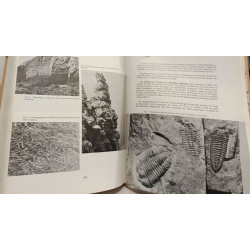 La presqu'île de Crozon : Histoire Art Nature