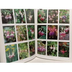 Portraits de fuchsias: 1000 variétés en couleurs
