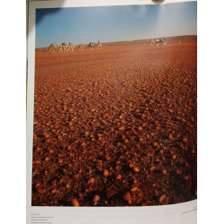 La Caravane - 3000 kilomètres à dos de chameau le Sahara traversé...