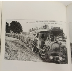 Le rhum et la canne