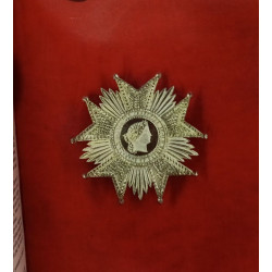 La Légion d'honneur : Histoire et organisation de l'ordre national