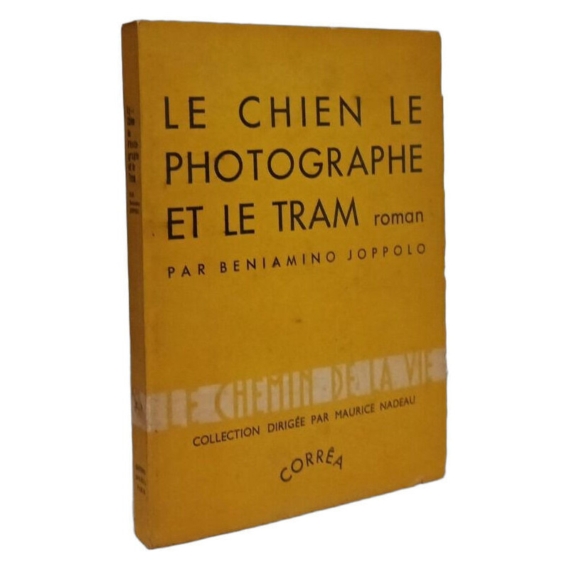 Le chien le photographe et le tram / Le chemin de la vie