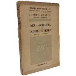 Des orchidées à la pomme de terre
