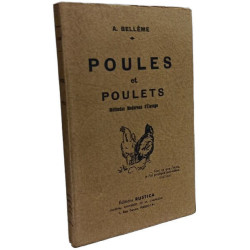 Poules et poulets