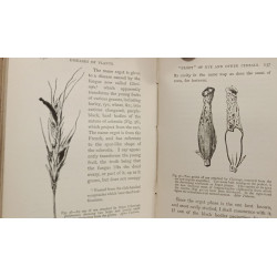 Diseases of Plants