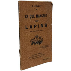 Ce que mangent nos lapins
