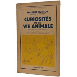 Curiosités de la vie animale