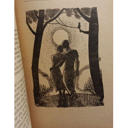 Frankenstein l'âge d'or ou la fin du monde --- 23 illustrations de...