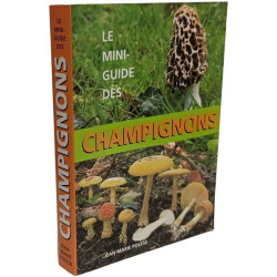 Le Mini-Guide Des Champignons