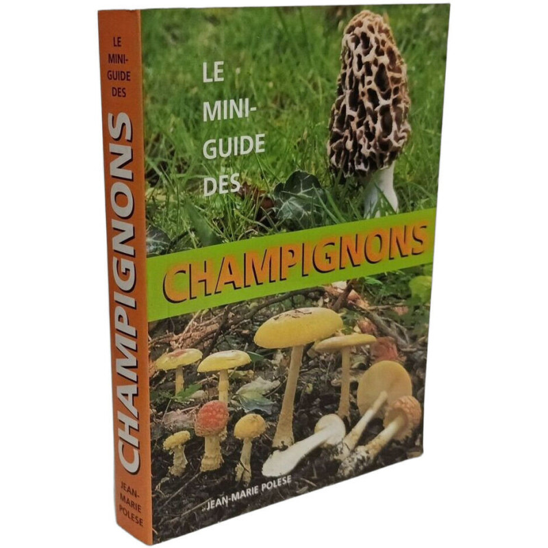Le Mini-Guide Des Champignons