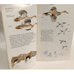 Guide d'identification des oiseaux aquatiques