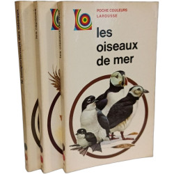 Les oiseaux de mer + Le comportement des oiseaux + Les rapaces ---...