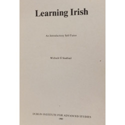Learning Irish