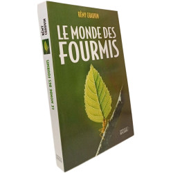 Le monde des fourmis