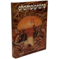 Champignons