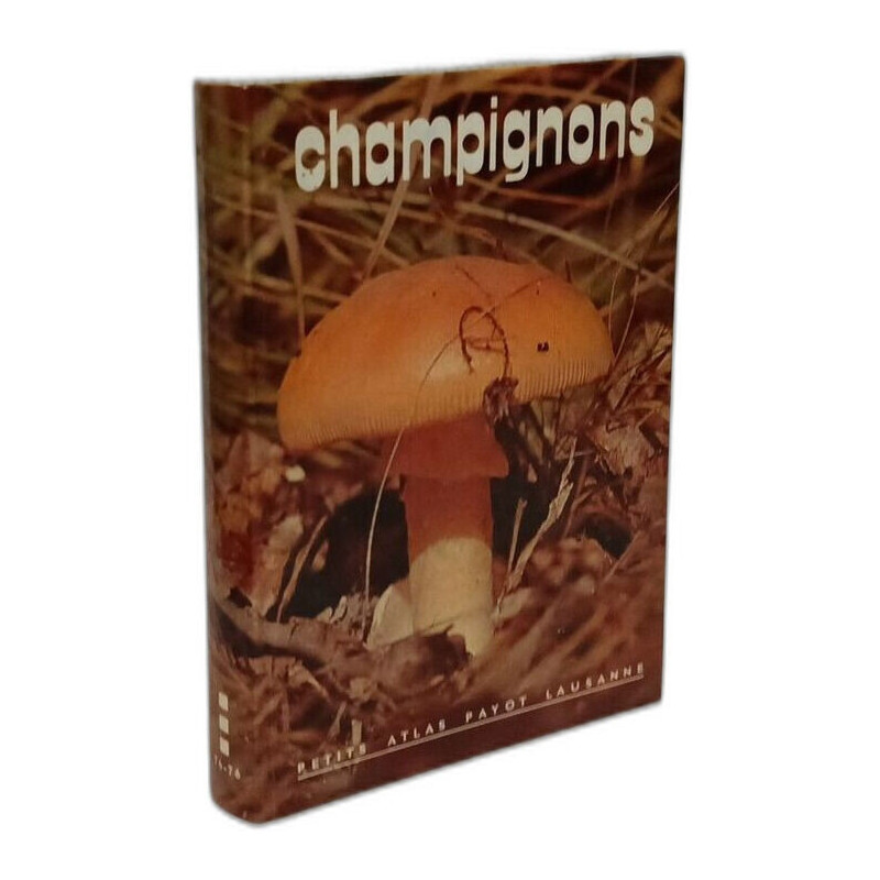Champignons