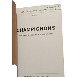 Champignons